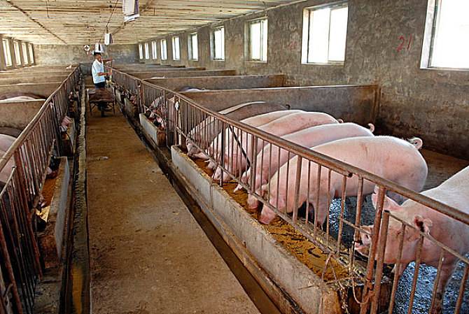 養(yǎng)豬場廢水處理